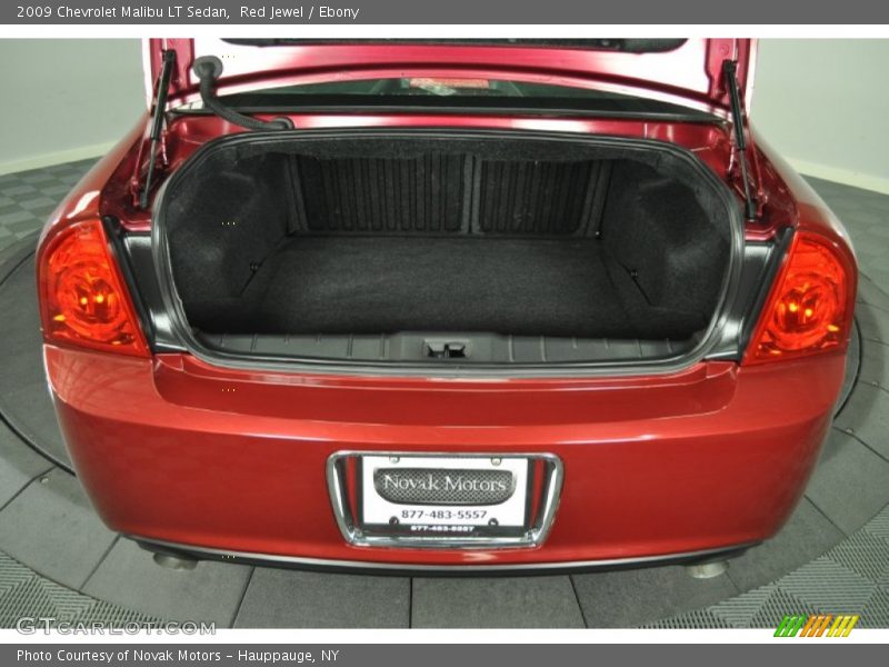 Red Jewel / Ebony 2009 Chevrolet Malibu LT Sedan