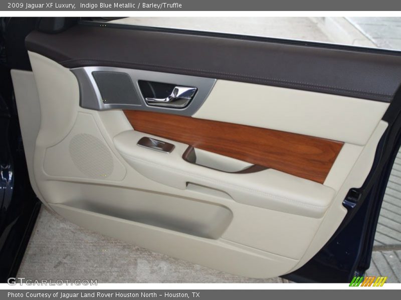 Door Panel of 2009 XF Luxury