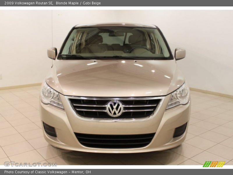 Blonde Maple / Gobi Beige 2009 Volkswagen Routan SE