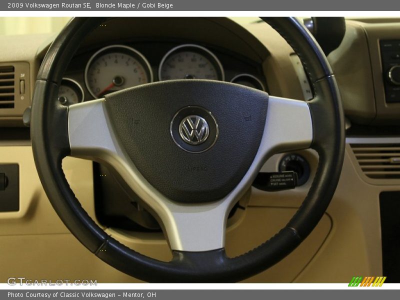 Blonde Maple / Gobi Beige 2009 Volkswagen Routan SE
