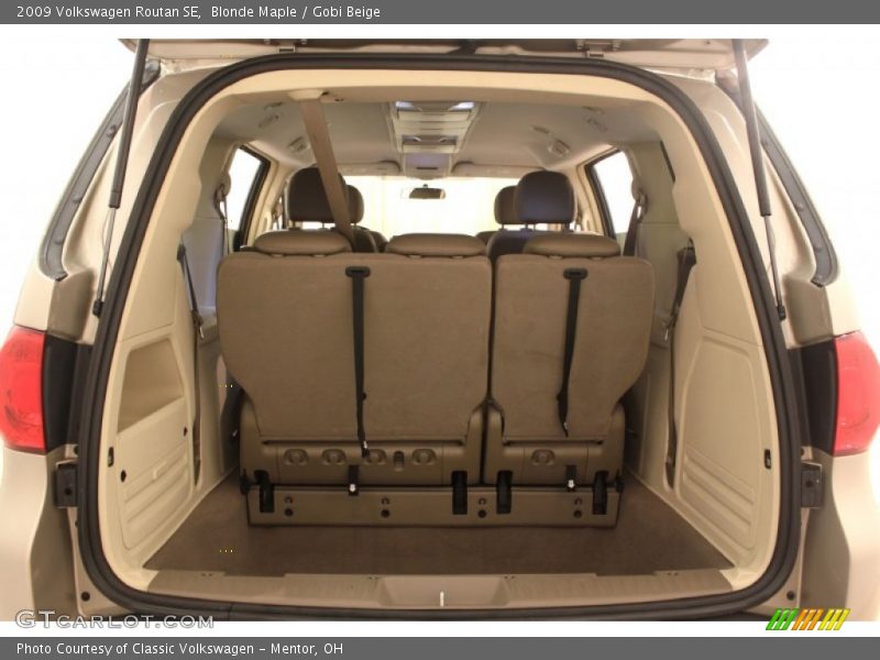 Blonde Maple / Gobi Beige 2009 Volkswagen Routan SE