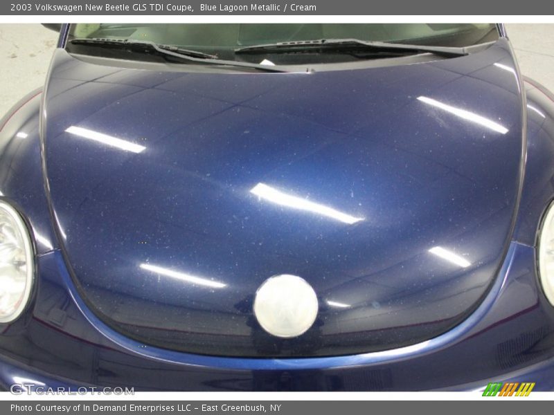 Blue Lagoon Metallic / Cream 2003 Volkswagen New Beetle GLS TDI Coupe