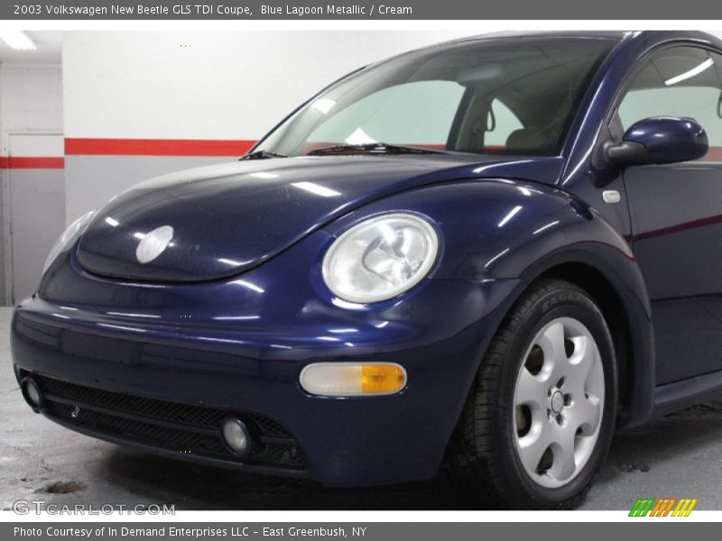 Blue Lagoon Metallic / Cream 2003 Volkswagen New Beetle GLS TDI Coupe