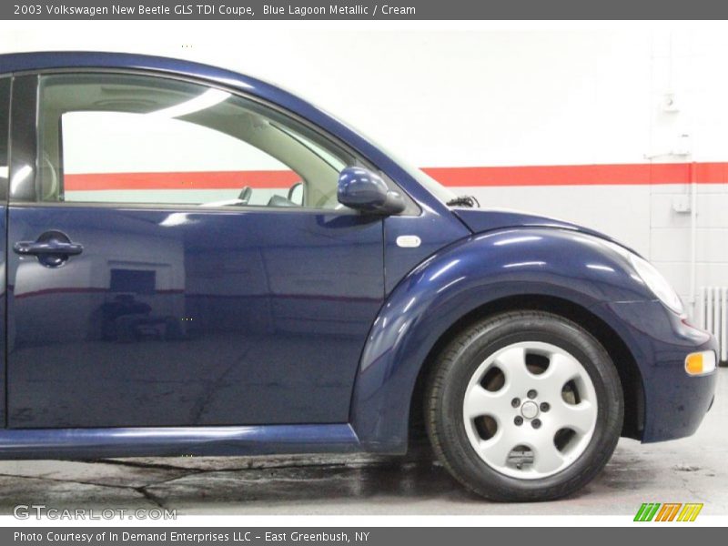 Blue Lagoon Metallic / Cream 2003 Volkswagen New Beetle GLS TDI Coupe