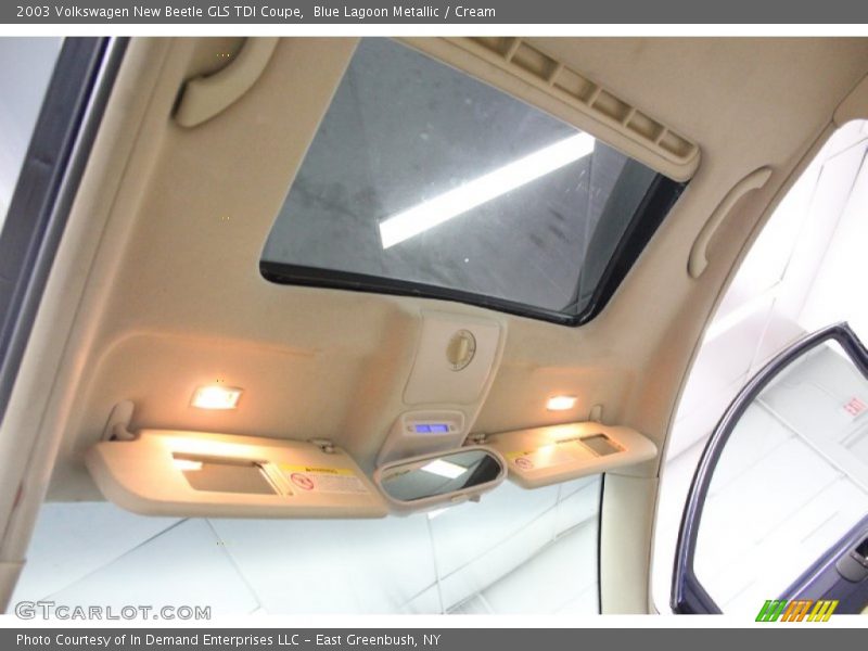 Blue Lagoon Metallic / Cream 2003 Volkswagen New Beetle GLS TDI Coupe