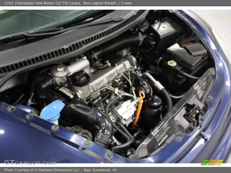 Blue Lagoon Metallic / Cream 2003 Volkswagen New Beetle GLS TDI Coupe