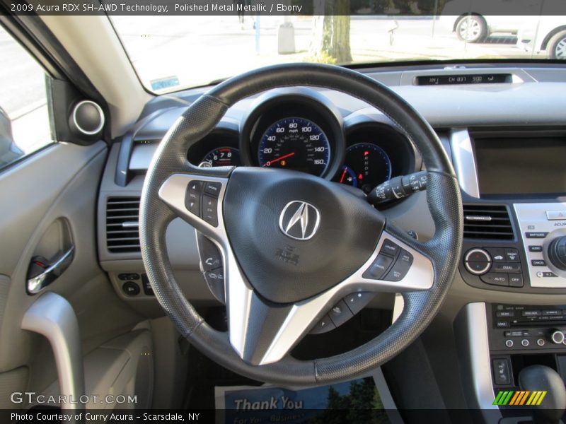 Polished Metal Metallic / Ebony 2009 Acura RDX SH-AWD Technology