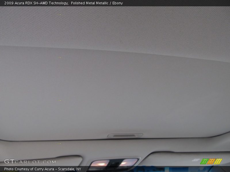 Polished Metal Metallic / Ebony 2009 Acura RDX SH-AWD Technology