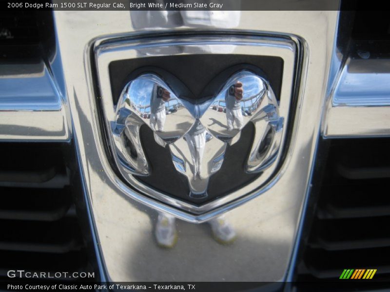 Bright White / Medium Slate Gray 2006 Dodge Ram 1500 SLT Regular Cab