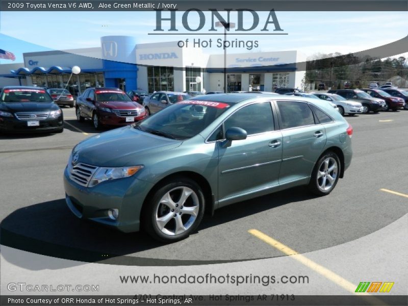 Aloe Green Metallic / Ivory 2009 Toyota Venza V6 AWD