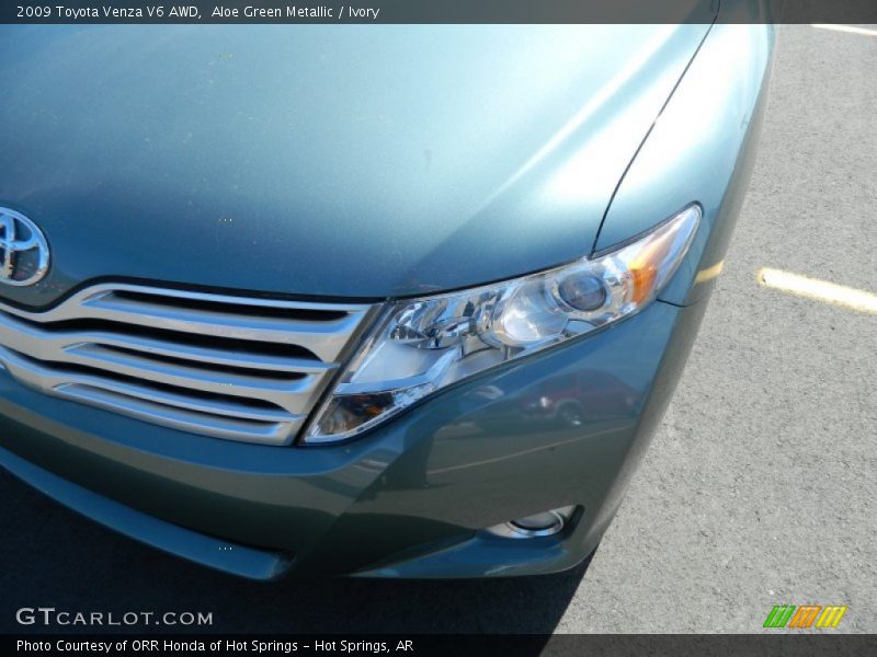 Aloe Green Metallic / Ivory 2009 Toyota Venza V6 AWD