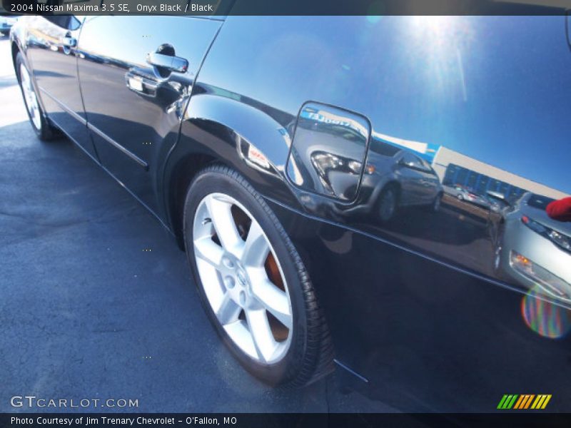 Onyx Black / Black 2004 Nissan Maxima 3.5 SE
