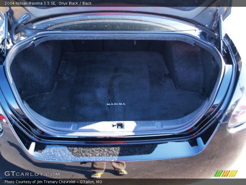 Onyx Black / Black 2004 Nissan Maxima 3.5 SE