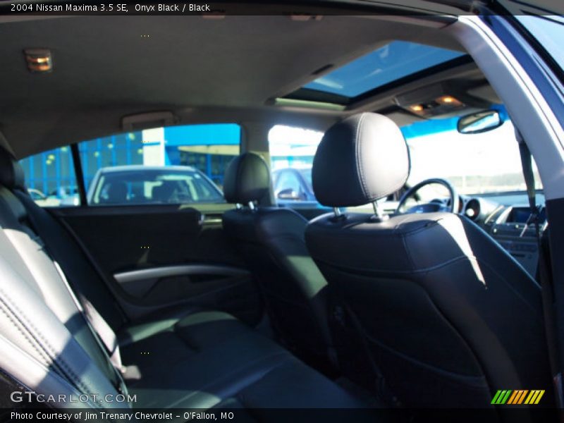 Onyx Black / Black 2004 Nissan Maxima 3.5 SE