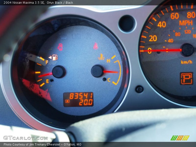 Onyx Black / Black 2004 Nissan Maxima 3.5 SE