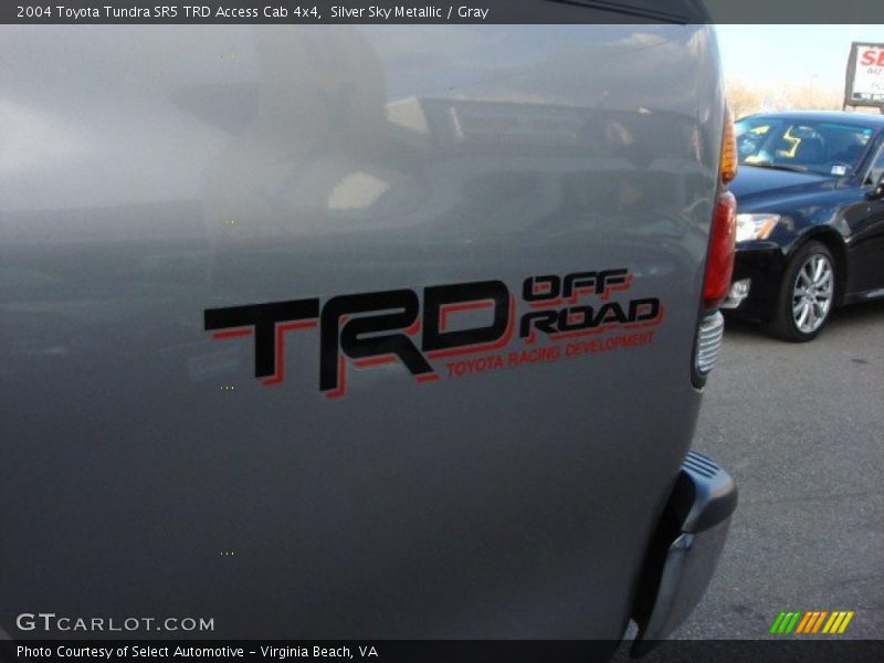 Silver Sky Metallic / Gray 2004 Toyota Tundra SR5 TRD Access Cab 4x4