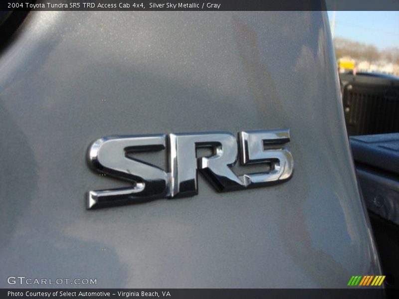 Silver Sky Metallic / Gray 2004 Toyota Tundra SR5 TRD Access Cab 4x4