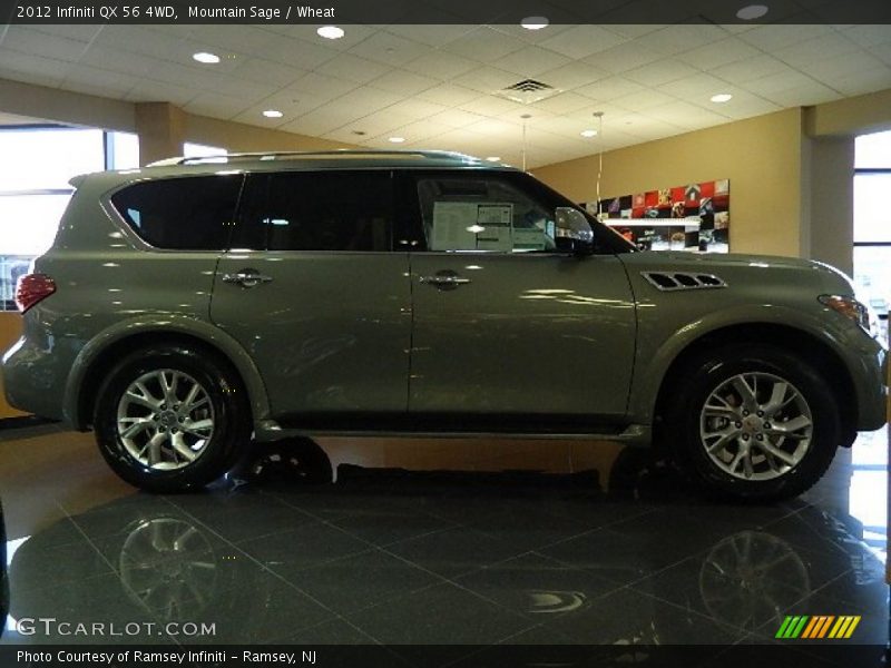 Mountain Sage / Wheat 2012 Infiniti QX 56 4WD