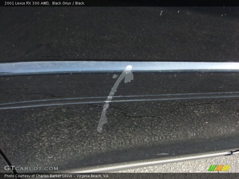 Black Onyx / Black 2001 Lexus RX 300 AWD