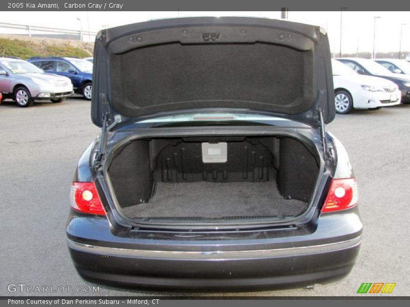 Carbon Gray / Gray 2005 Kia Amanti