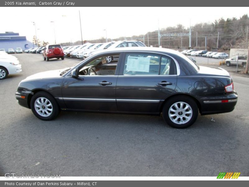 Carbon Gray / Gray 2005 Kia Amanti