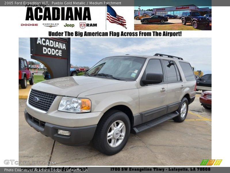 Pueblo Gold Metallic / Medium Parchment 2005 Ford Expedition XLT