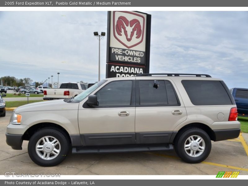 Pueblo Gold Metallic / Medium Parchment 2005 Ford Expedition XLT
