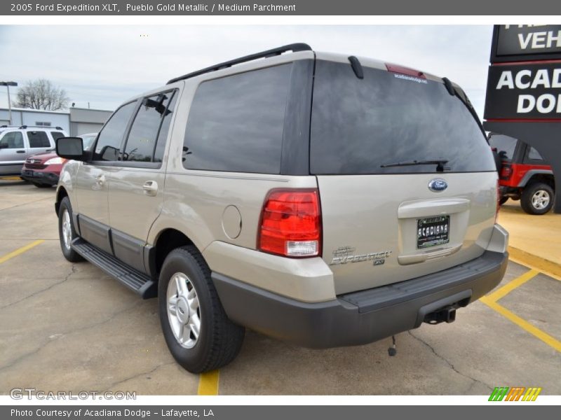 Pueblo Gold Metallic / Medium Parchment 2005 Ford Expedition XLT