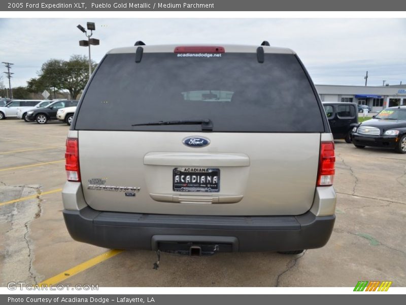 Pueblo Gold Metallic / Medium Parchment 2005 Ford Expedition XLT