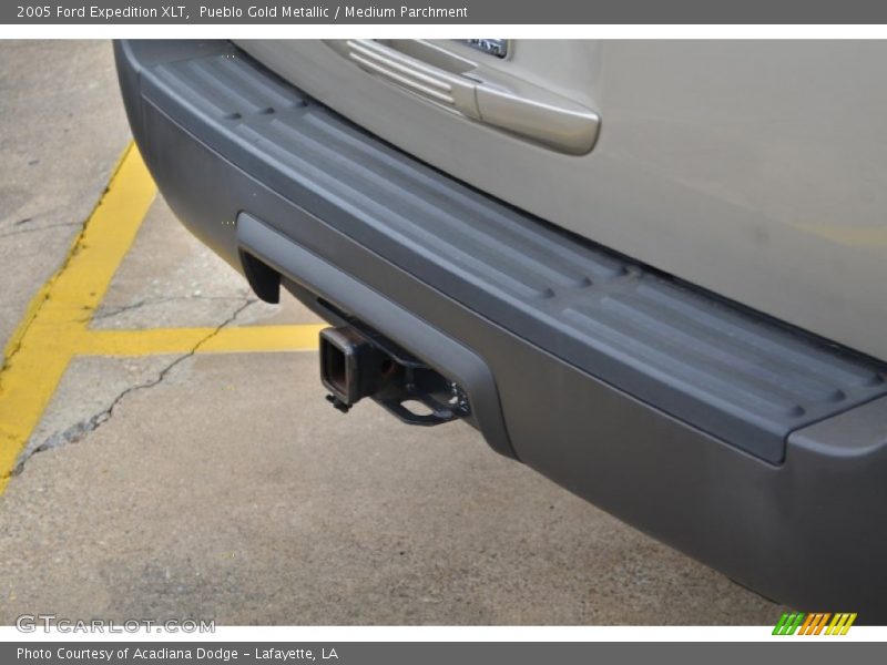 Pueblo Gold Metallic / Medium Parchment 2005 Ford Expedition XLT