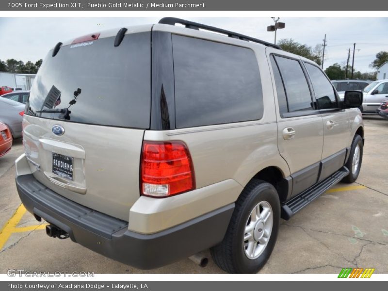 Pueblo Gold Metallic / Medium Parchment 2005 Ford Expedition XLT