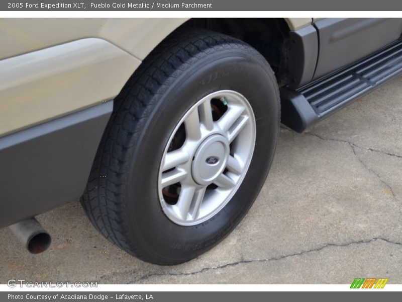 Pueblo Gold Metallic / Medium Parchment 2005 Ford Expedition XLT