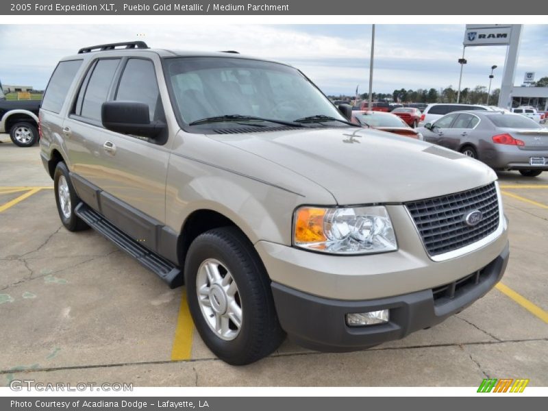 Pueblo Gold Metallic / Medium Parchment 2005 Ford Expedition XLT