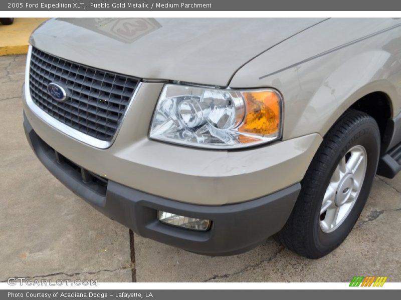 Pueblo Gold Metallic / Medium Parchment 2005 Ford Expedition XLT