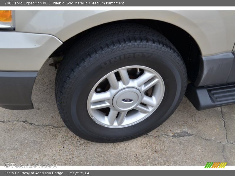 Pueblo Gold Metallic / Medium Parchment 2005 Ford Expedition XLT