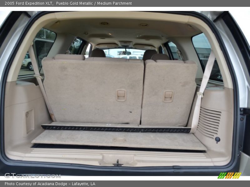 Pueblo Gold Metallic / Medium Parchment 2005 Ford Expedition XLT