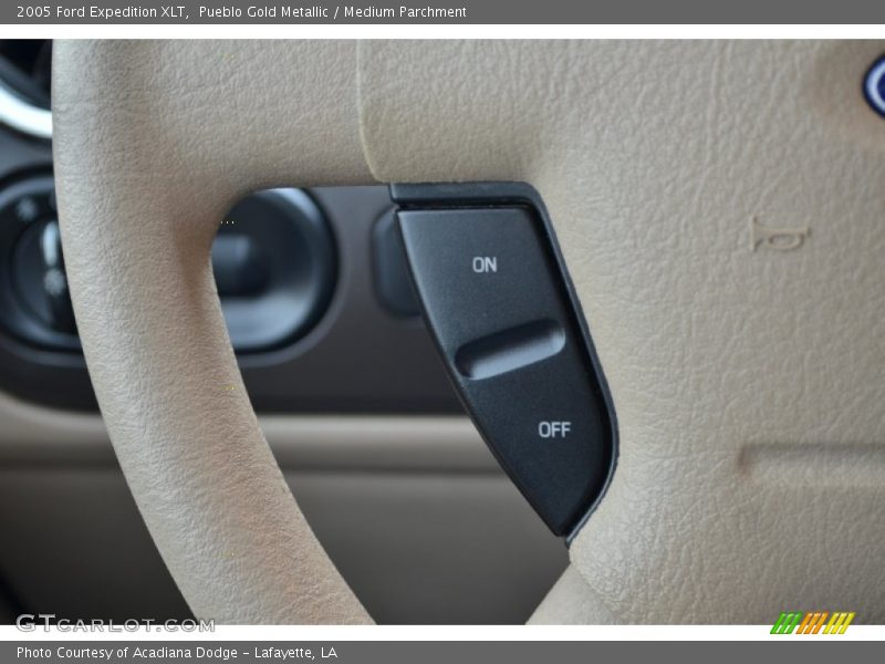 Pueblo Gold Metallic / Medium Parchment 2005 Ford Expedition XLT