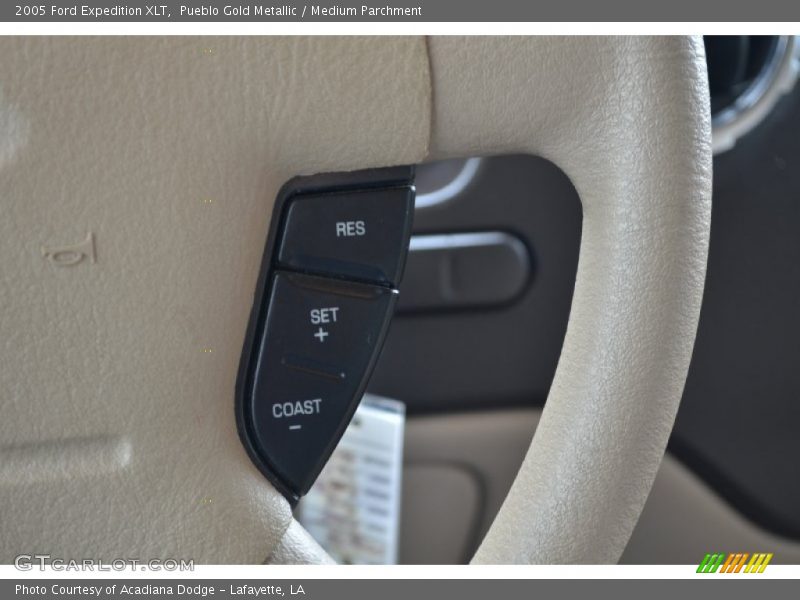 Pueblo Gold Metallic / Medium Parchment 2005 Ford Expedition XLT