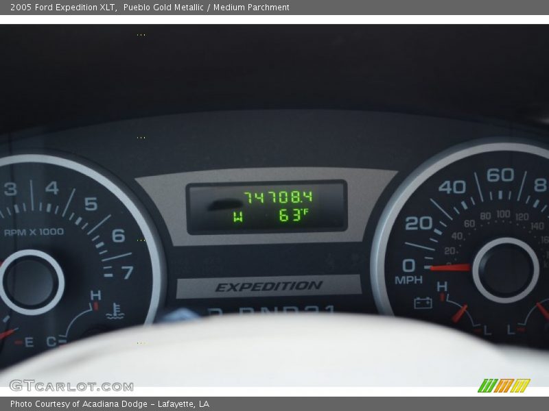 Pueblo Gold Metallic / Medium Parchment 2005 Ford Expedition XLT