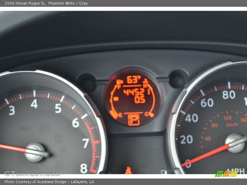 Phantom White / Gray 2009 Nissan Rogue SL