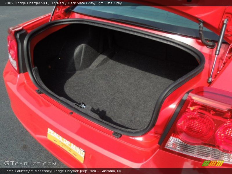 TorRed / Dark Slate Gray/Light Slate Gray 2009 Dodge Charger SXT