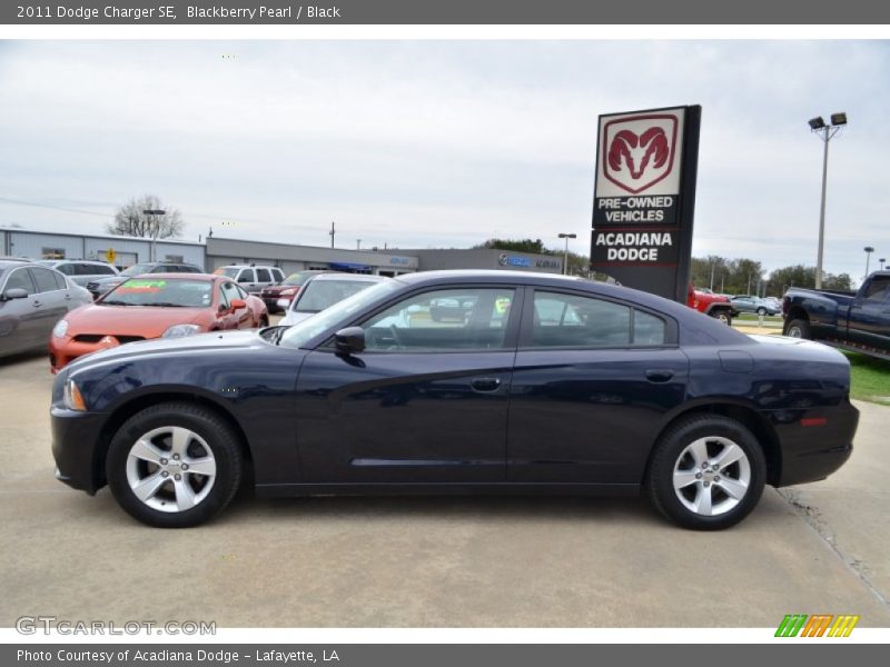 Blackberry Pearl / Black 2011 Dodge Charger SE