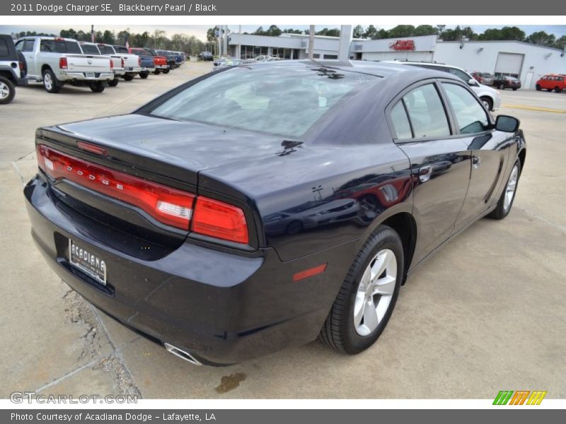 Blackberry Pearl / Black 2011 Dodge Charger SE