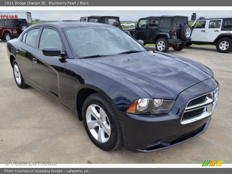 Blackberry Pearl / Black 2011 Dodge Charger SE