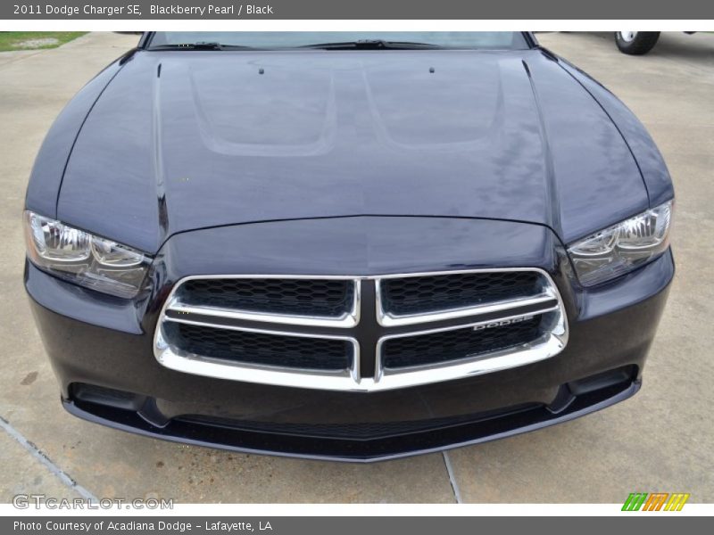 Blackberry Pearl / Black 2011 Dodge Charger SE