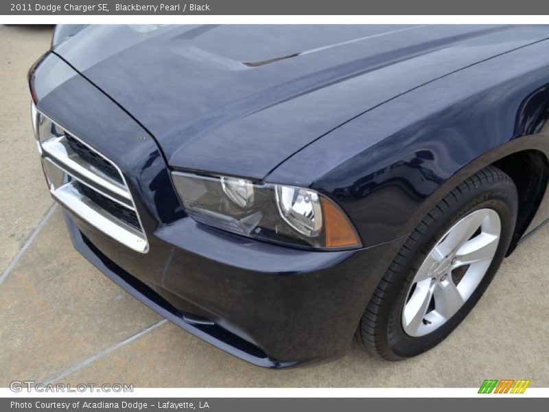 Blackberry Pearl / Black 2011 Dodge Charger SE