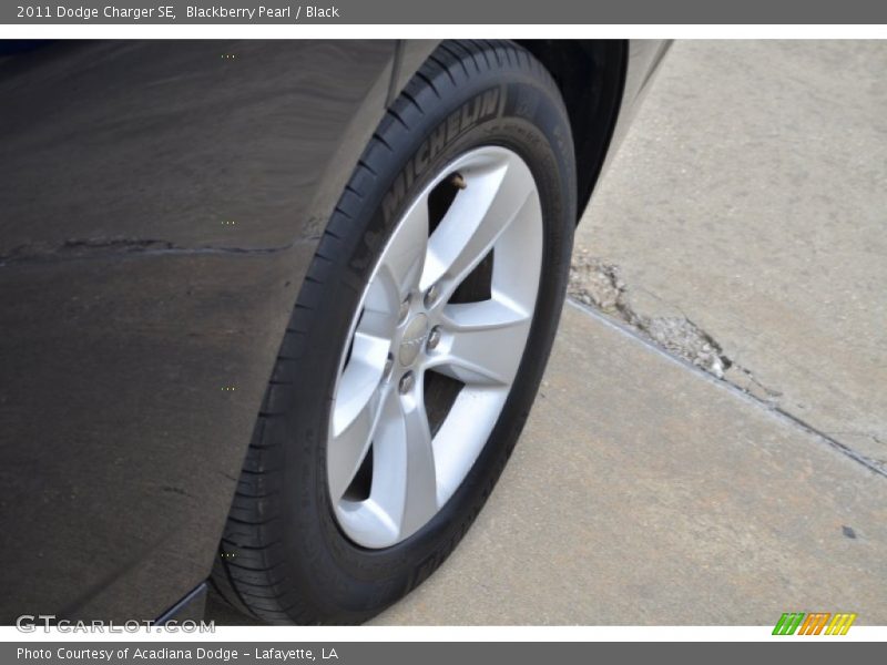 Blackberry Pearl / Black 2011 Dodge Charger SE
