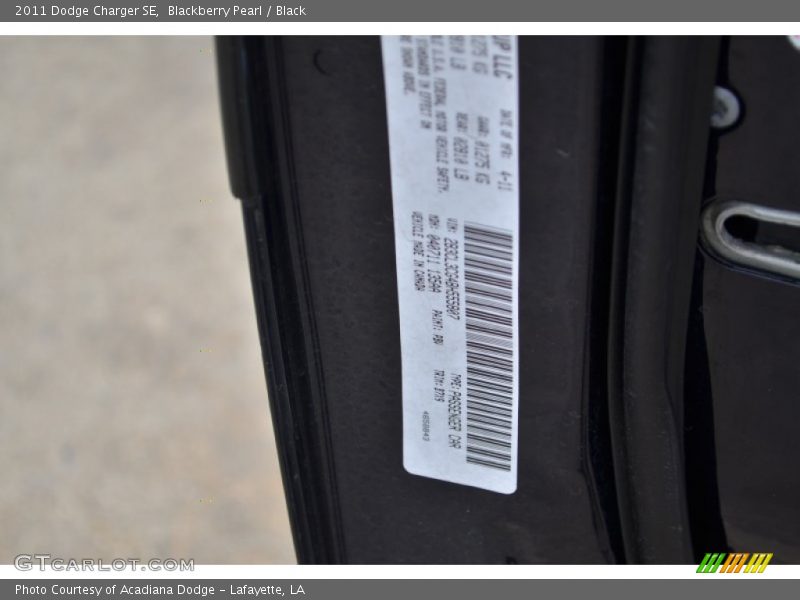 Blackberry Pearl / Black 2011 Dodge Charger SE