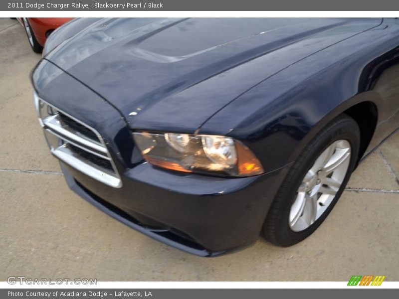 Blackberry Pearl / Black 2011 Dodge Charger Rallye