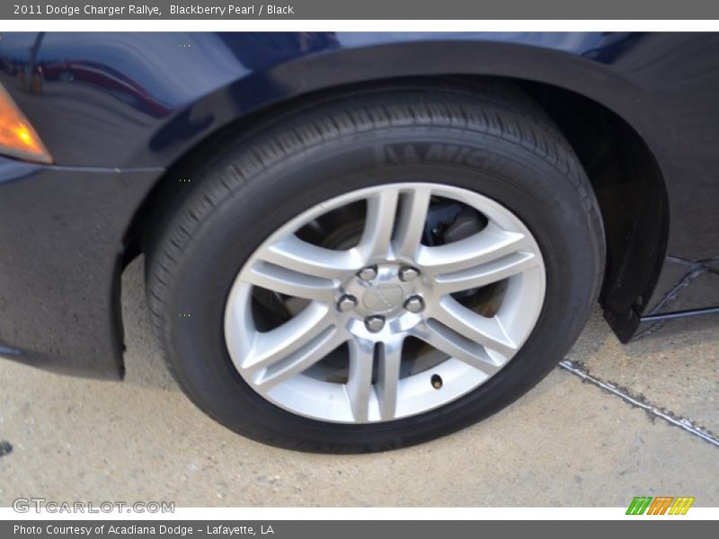 Blackberry Pearl / Black 2011 Dodge Charger Rallye
